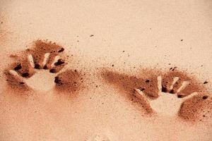 Red soil hand shape on sand like aboriginal art style photo