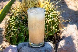 Guamiche drink Ferocactus wislizenii typical of guanajuato mexico photo