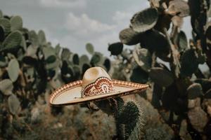 elegante sombrero de charro tradicional con fondo de nopales y cactus foto