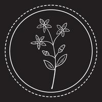 hierbas amargas p 1 logo 1 vector