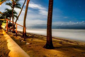 Night view of the sea with stais and palm trees photo