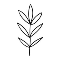 Leaf set scand artbo vector