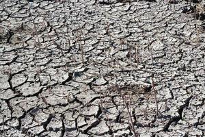 textura de suelo seco agrietado con espacio de copia foto