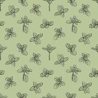 herbs seamless pattern vector