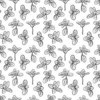 Basil leaves seamless pattern vector