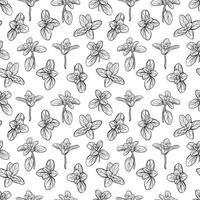 Basil leaves seamless pattern vector