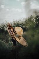 sombreros tradicionales mexicanos con fondo de cactus foto