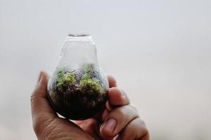 hand holding a light bulb with energy and fresh green leaves inside on nature background, soft focus photo