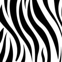 black and white stripes pattern of zebra hide vector