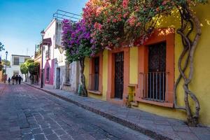 Rustic street with windows and bougainvillea flowers in Queretaro, Mexico photo