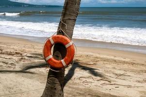 Lifebuoy hanging on a palm tree with a beach in the background photo