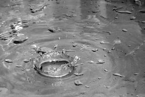 salpicaduras de agua de una gota que cae con ondas circulares foto