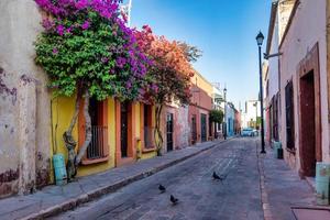 Rustic street with windows and bougainvillea flowers in Queretaro, Mexico photo