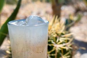 Guamiche drink Ferocactus wislizenii typical of guanajuato mexico photo