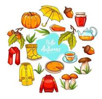 Autumn set. Large collection of autumn items. vector