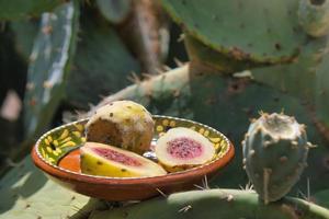 Cactus with fruit of Mexican xoconostles photo