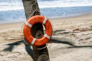 Lifebuoy hanging on a palm tree with a beach in the background photo