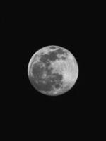 Black and white moon premium photo