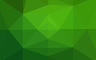 Light Green vector low poly layout.