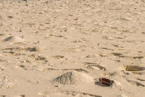 message in a bottle abandoned on sandy beach photo