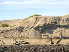 beach sand dunes photo