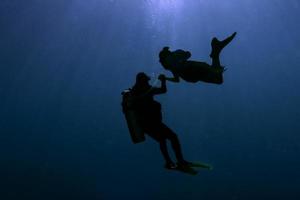 Siren Mermaid silhouette while meeting a diver underwater photo