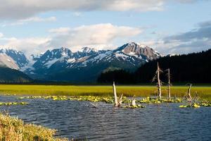 Alaska prince william sound Glacier View photo