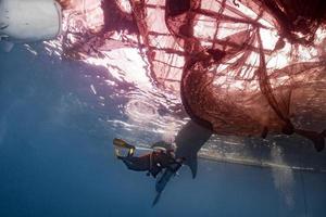 Whale Shark underwater approaching a scuba diver in Indonesia photo