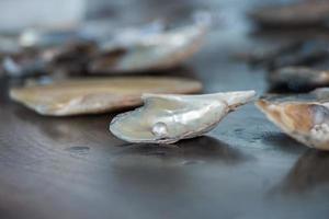 pearl factory on the sea photo
