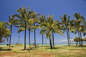 Waikiki beach panorama photo
