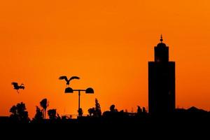 maroc marrakech vista del atardecer con una cigüeña volando foto