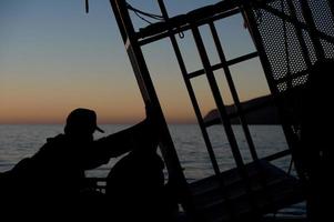 Shark cage to observe great white photo