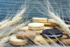 variety of chocolate cookies on wooden table. Chocolate chip cookies shot with barley plant photo