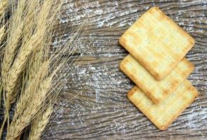 whole wheat cracker and broken crushed with dried barley plant photo