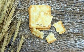 galleta de trigo integral y triturada rota con planta de cebada seca foto