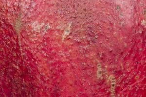 Natural fruit and vegatable texture pomegranate photo