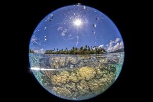 arrecife de coral bajo el agua en la polinesia francesa tahaa foto