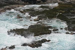 seal relaxing on rocks in hawaii kauai photo