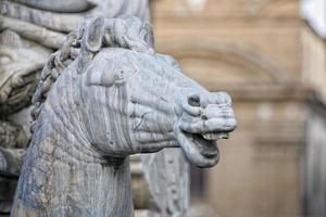 Florence Piazza della Signoria Statue photo