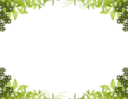 floral frame png