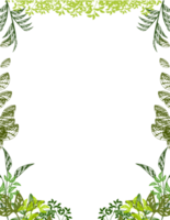 herbal frame, floral frame png