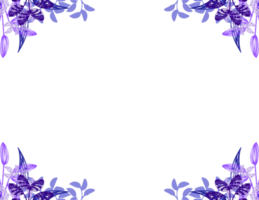 Kräuterrahmen transparent png