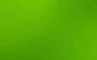 Light Green vector polygonal background.