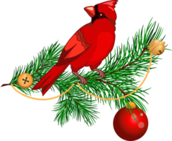 Christmas Composition with Pine Branches, Bellsand Cardinal Bird png