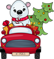 polare orso cavalcate nel un' rosso auto con i regali e un' Natale albero png