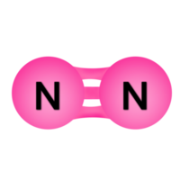 The Nitrogen Bond png