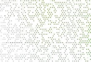 Light Green vector backdrop with dots.