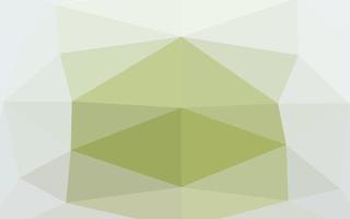 Light Green vector polygon abstract layout.