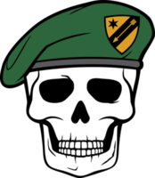 Skull with Military Beret png