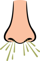 Nose and Sneezing png